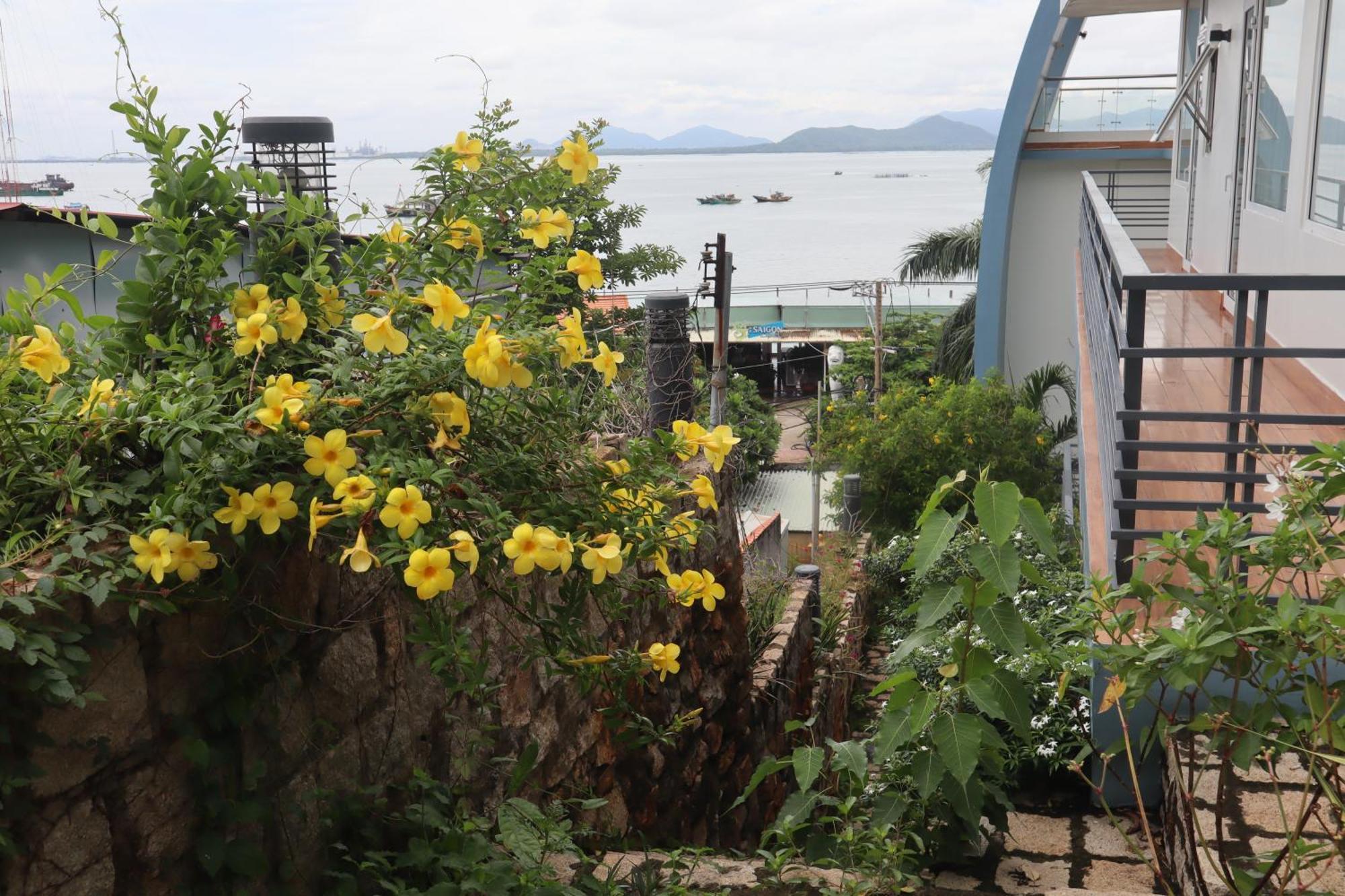 Cassabella Hotel & Apartments Vũng Tàu Eksteriør billede