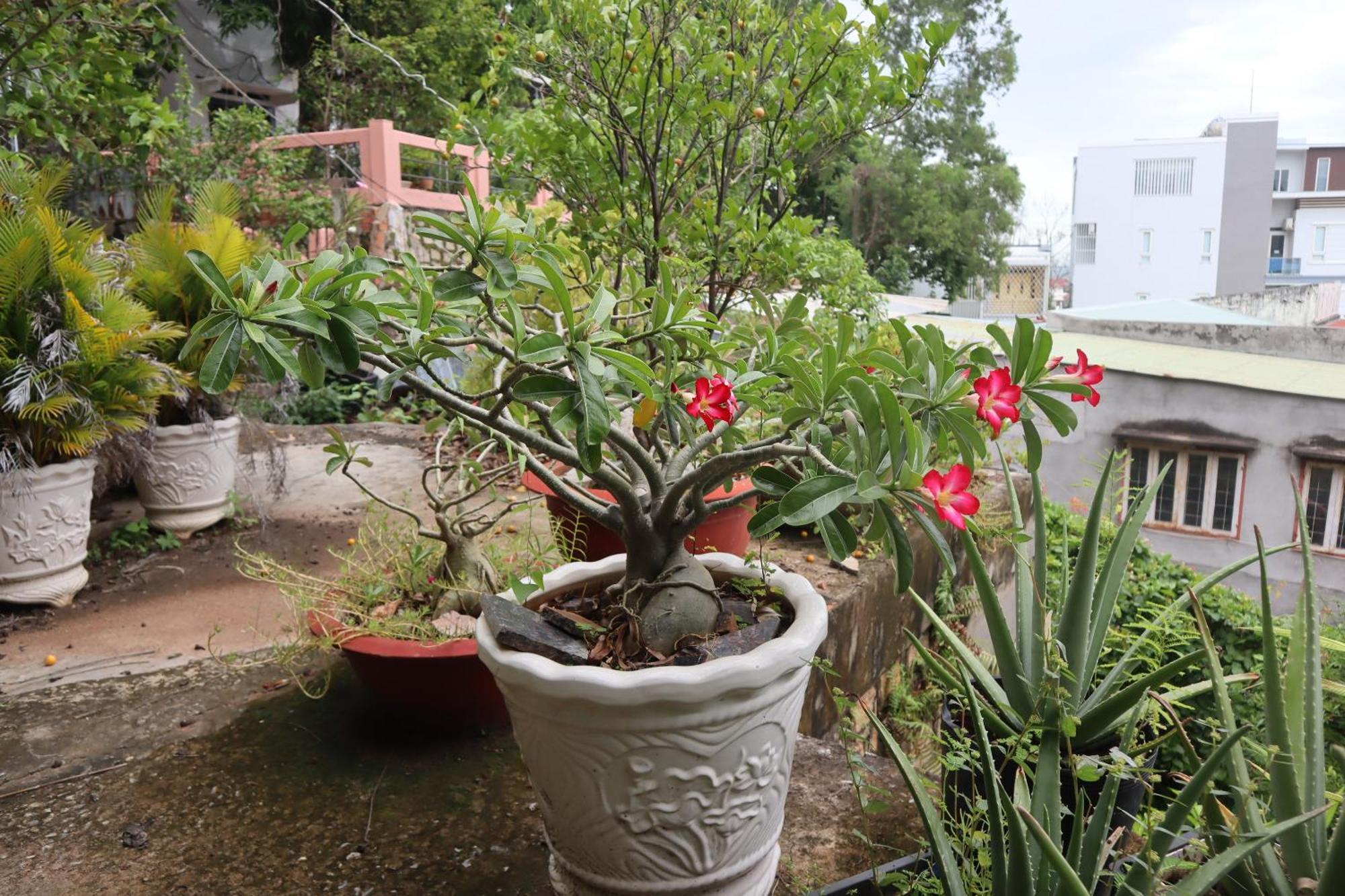 Cassabella Hotel & Apartments Vũng Tàu Eksteriør billede