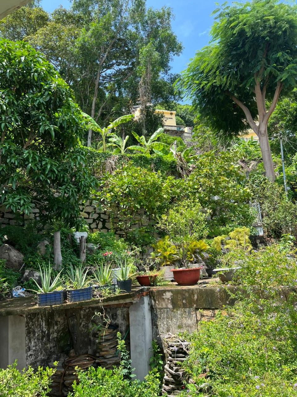 Cassabella Hotel & Apartments Vũng Tàu Eksteriør billede